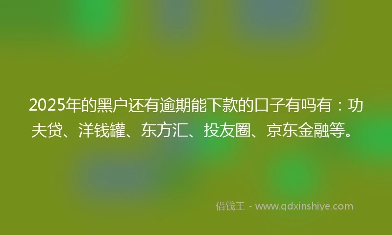2025年的黑户还有逾期能下款的口子有吗有：功夫贷、洋钱罐、东方汇、投友圈、京东金融等。