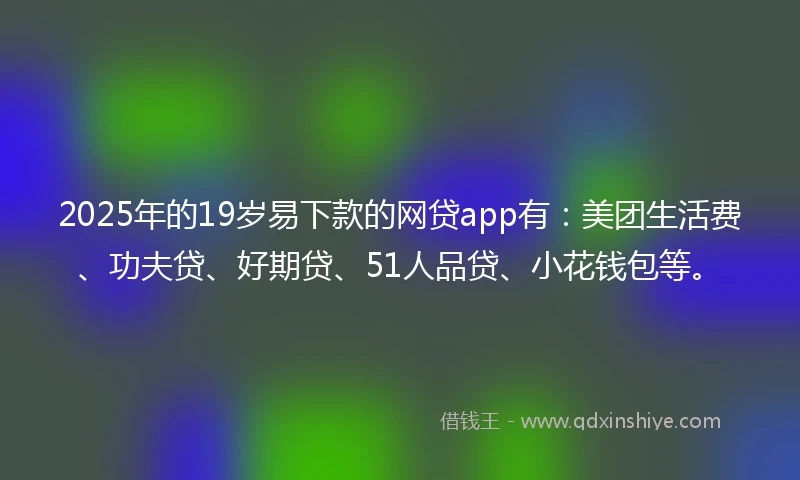 2025年的19岁易下款的网贷app有：美团生活费、功夫贷、好期贷、51人品贷、小花钱包等。