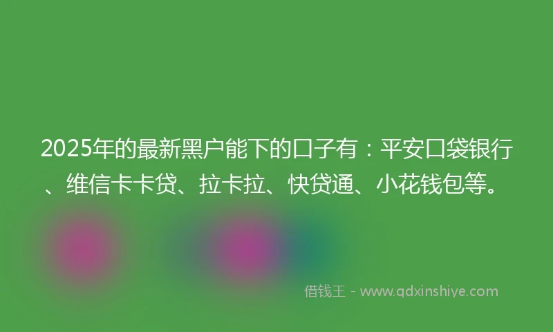 2025年的最新黑户能下的口子有：平安口袋银行、维信卡卡贷、拉卡拉、快贷通、小花钱包等。