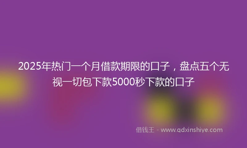 2025年热门一个月借款期限的口子，盘点五个无视一切包下款5000秒下款的口子