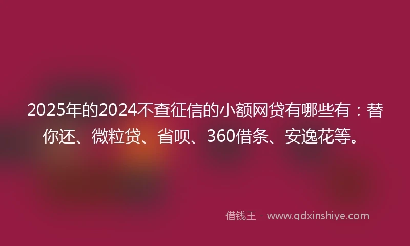 2025年的2024不查征信的小额网贷有哪些有：替你还、微粒贷、省呗、360借条、安逸花等。