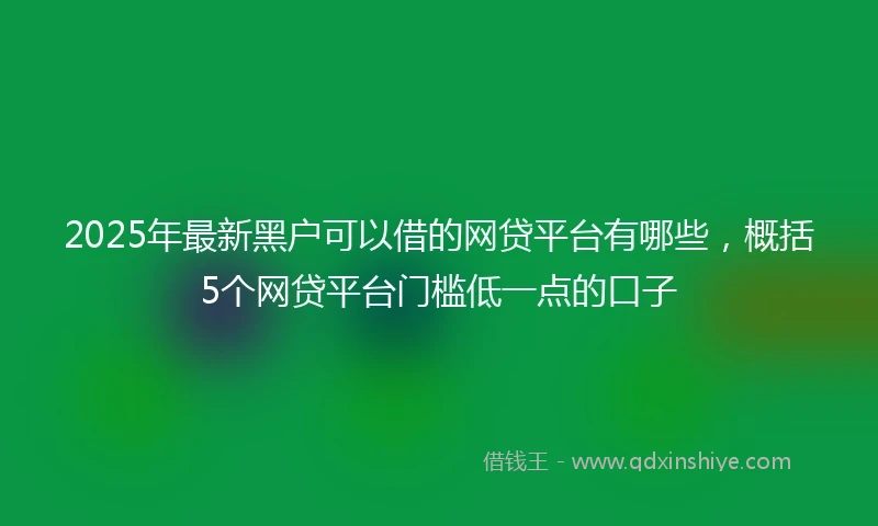 2025年最新黑户可以借的网贷平台有哪些，概括5个网贷平台门槛低一点的口子