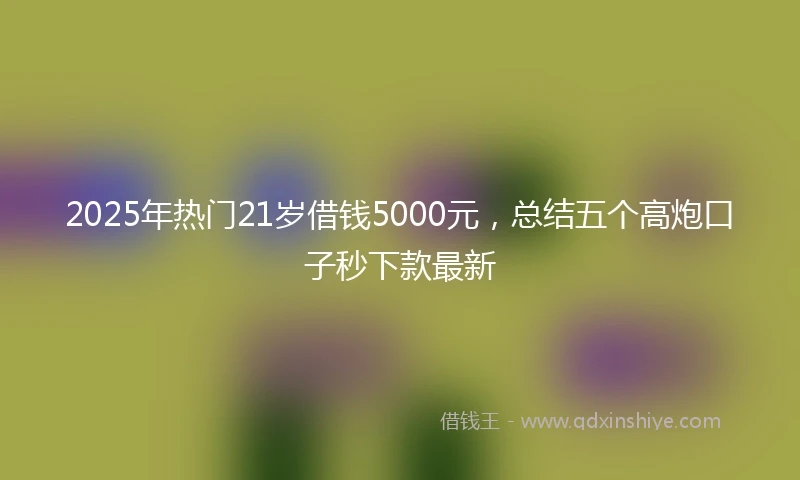 2025年热门21岁借钱5000元，总结五个高炮口子秒下款最新
