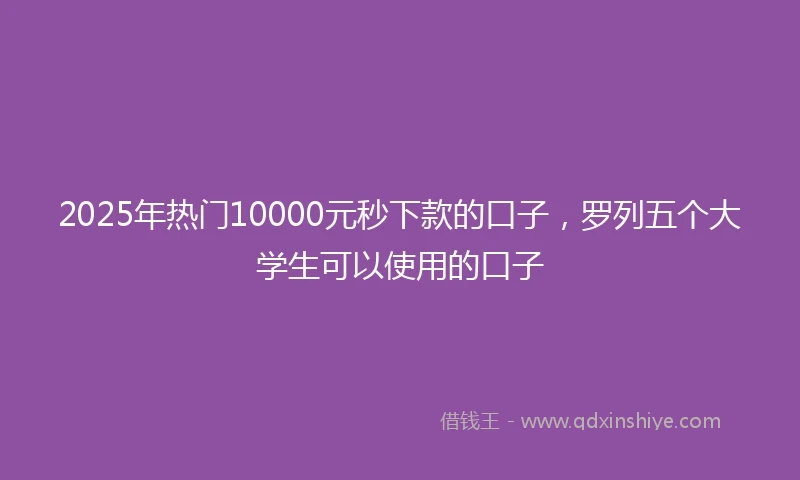 2025年热门10000元秒下款的口子，罗列五个大学生可以使用的口子
