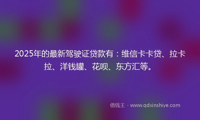 2025年的最新驾驶证贷款有：维信卡卡贷、拉卡拉、洋钱罐、花呗、东方汇等。