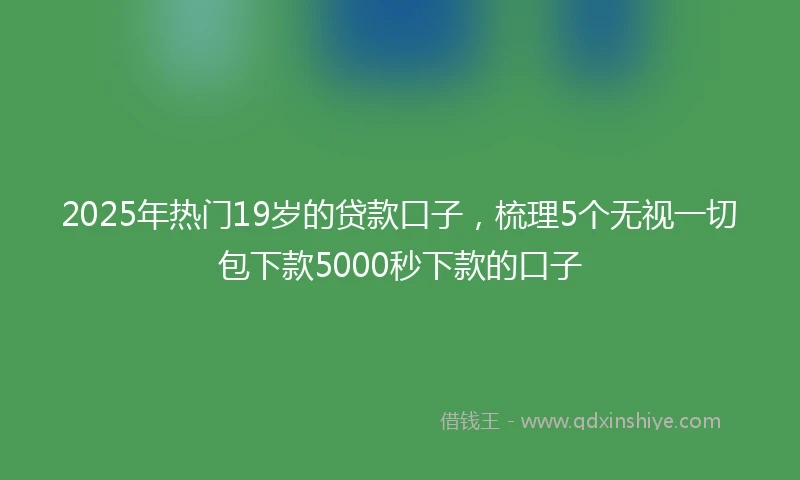2025年热门19岁的贷款口子，梳理5个无视一切包下款5000秒下款的口子