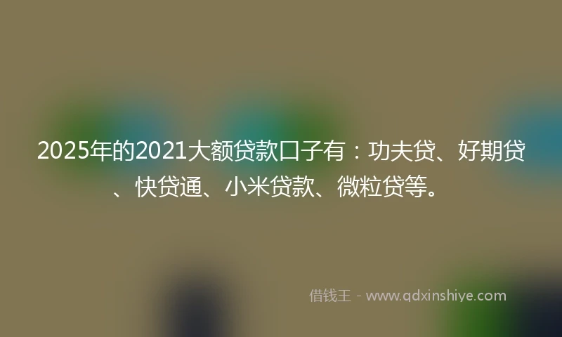 2025年的2021大额贷款口子有：功夫贷、好期贷、快贷通、小米贷款、微粒贷等。