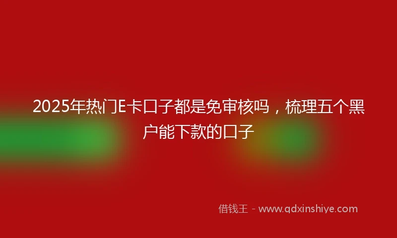 2025年热门E卡口子都是免审核吗，梳理五个黑户能下款的口子