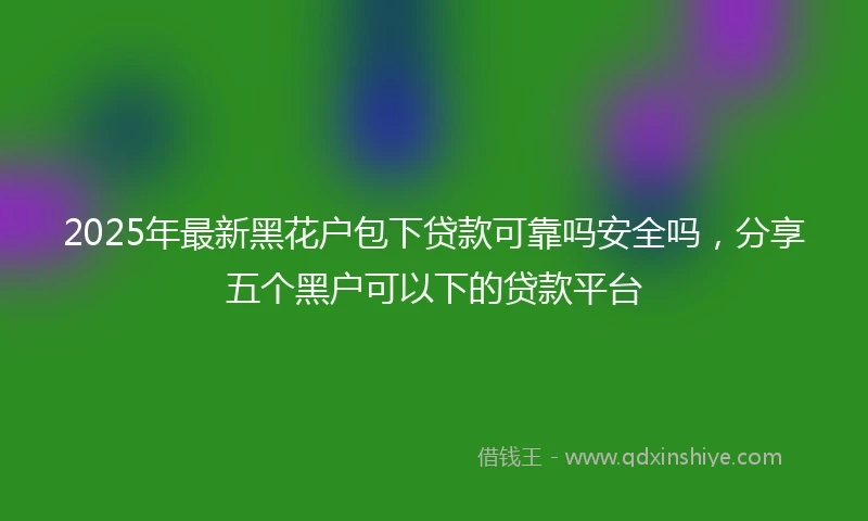 2025年最新黑花户包下贷款可靠吗安全吗，分享五个黑户可以下的贷款平台