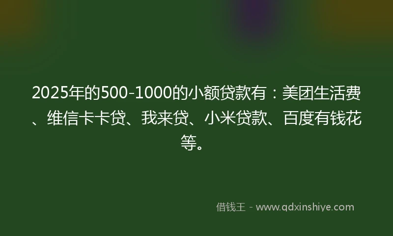2025年的500-1000的小额贷款有：美团生活费、维信卡卡贷、我来贷、小米贷款、百度有钱花等。