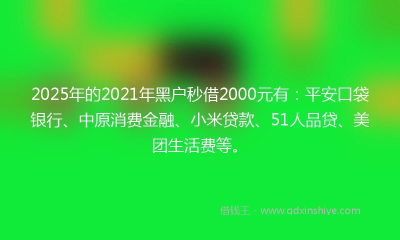 2025年的2021年黑户秒借2000元有：平安口袋银行、中原消费金融、小米贷款、51人品贷、美团生活费等。