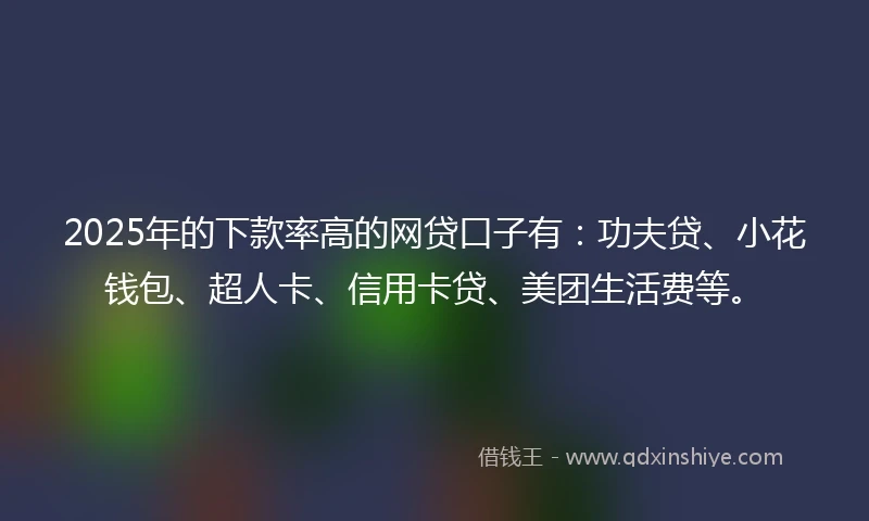 2025年的下款率高的网贷口子有：功夫贷、小花钱包、超人卡、信用卡贷、美团生活费等。