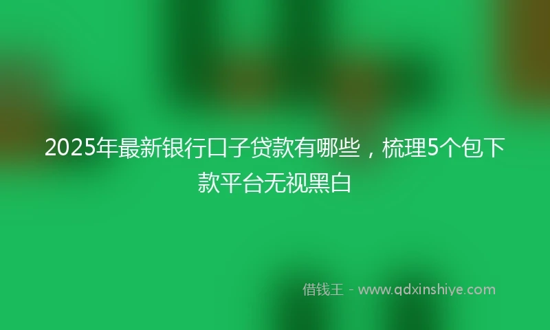 2025年最新银行口子贷款有哪些，梳理5个包下款平台无视黑白