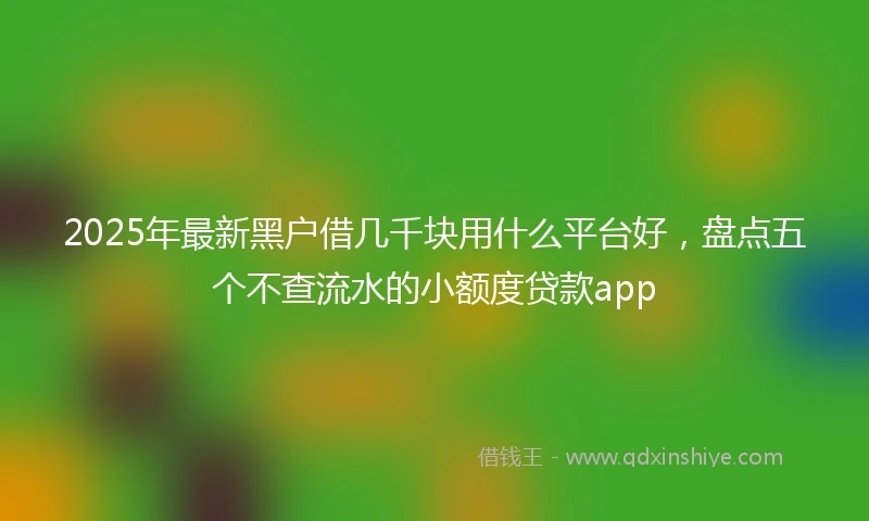 2025年最新黑户借几千块用什么平台好，盘点五个不查流水的小额度贷款app