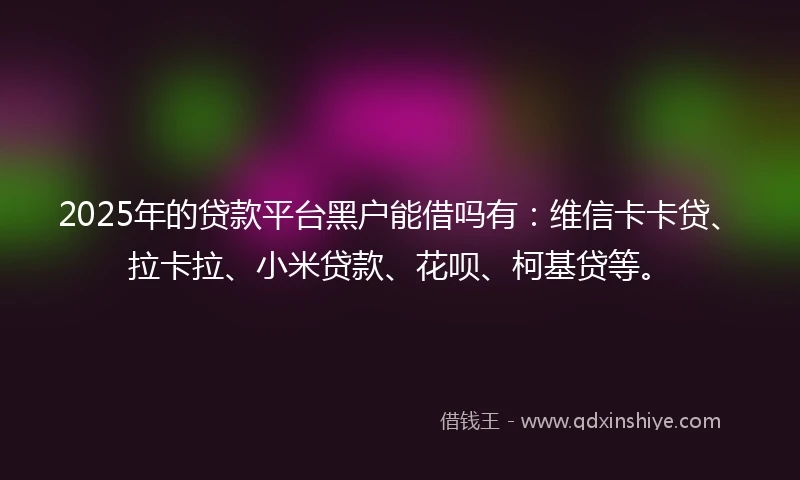 2025年的贷款平台黑户能借吗有：维信卡卡贷、拉卡拉、小米贷款、花呗、柯基贷等。