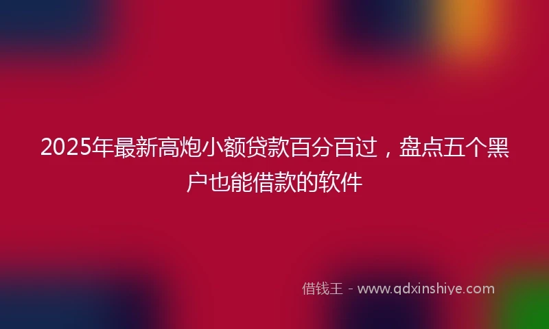 2025年最新高炮小额贷款百分百过，盘点五个黑户也能借款的软件