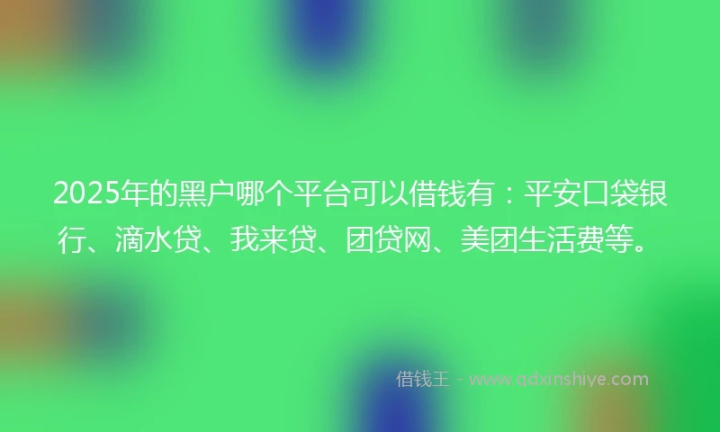2025年的黑户哪个平台可以借钱有：平安口袋银行、滴水贷、我来贷、团贷网、美团生活费等。