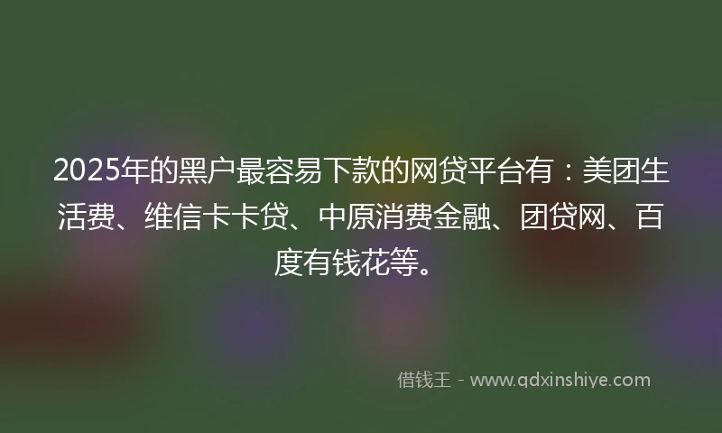 2025年的黑户最容易下款的网贷平台有：美团生活费、维信卡卡贷、中原消费金融、团贷网、百度有钱花等。