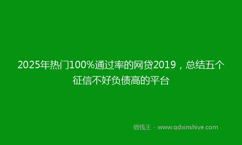 2025年热门100%通过率的网贷2019，总结五个征信不好负债高的平台