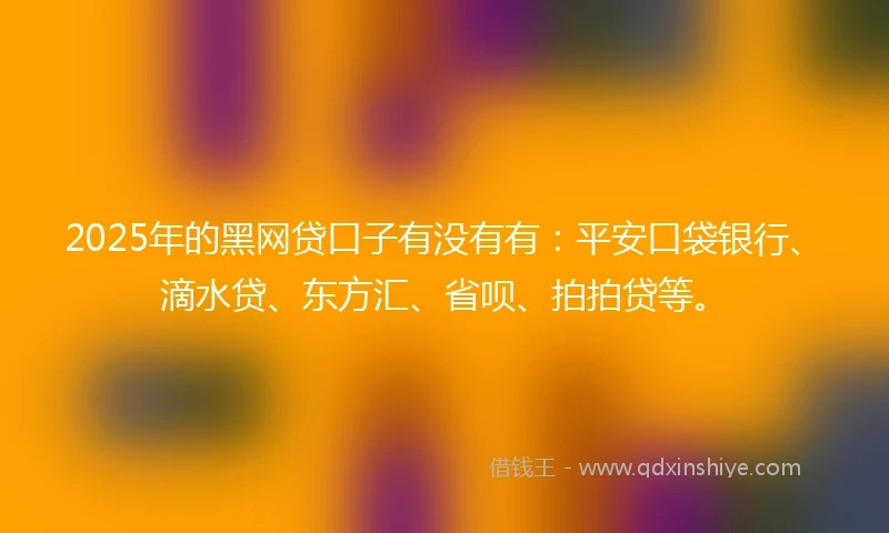 2025年的黑网贷口子有没有有：平安口袋银行、滴水贷、东方汇、省呗、拍拍贷等。