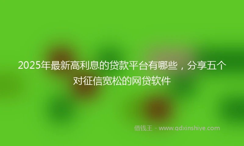 2025年最新高利息的贷款平台有哪些，分享五个对征信宽松的网贷软件