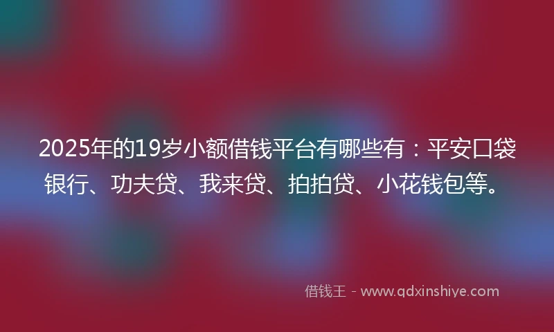 2025年的19岁小额借钱平台有哪些有：平安口袋银行、功夫贷、我来贷、拍拍贷、小花钱包等。