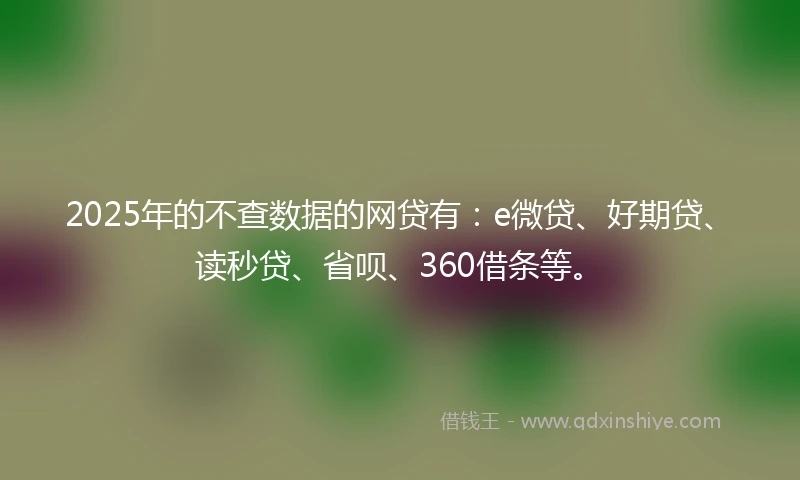 2025年的不查数据的网贷有：e微贷、好期贷、读秒贷、省呗、360借条等。