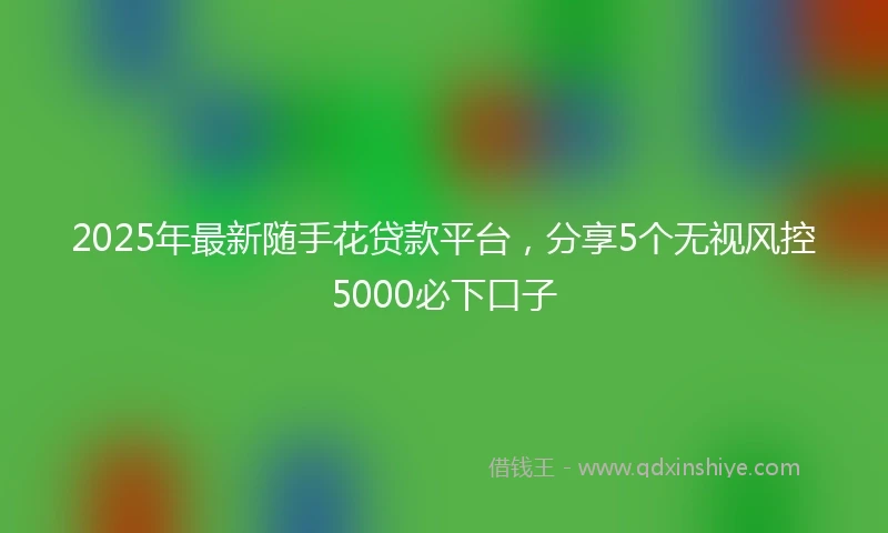 2025年最新随手花贷款平台，分享5个无视风控5000必下口子