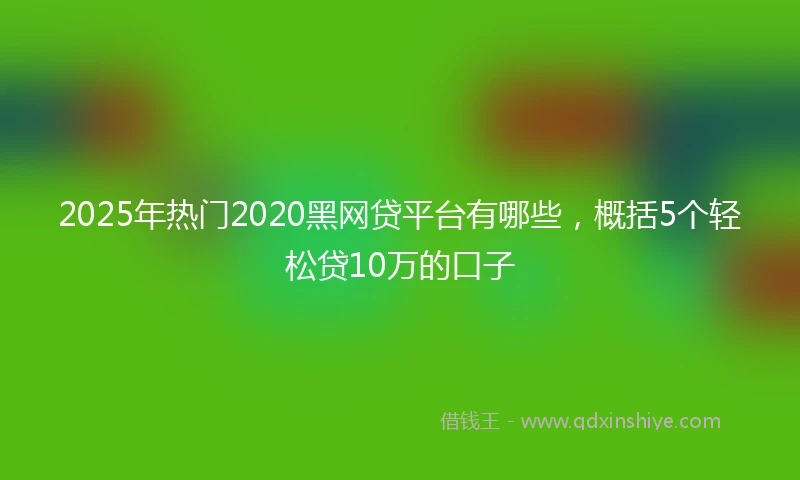 2025年热门2020黑网贷平台有哪些，概括5个轻松贷10万的口子