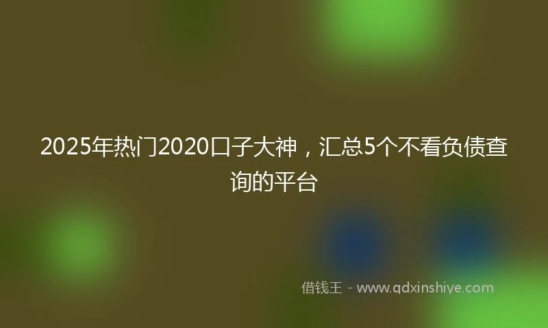 2025年热门2020口子大神，汇总5个不看负债查询的平台