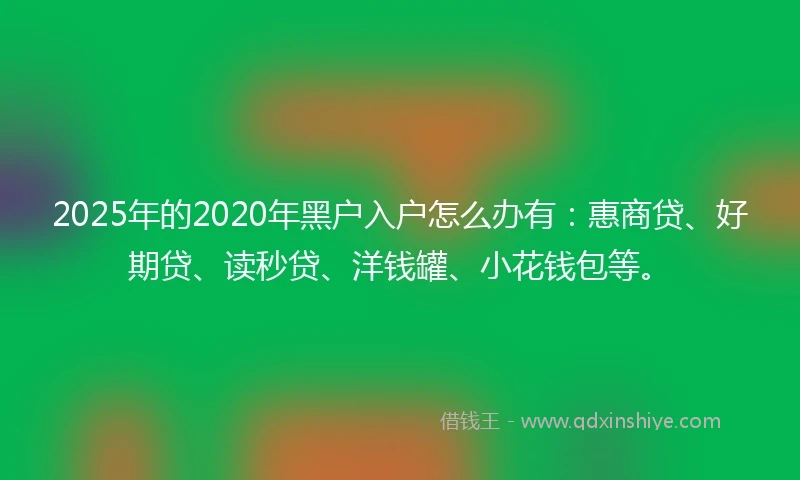 2025年的2020年黑户入户怎么办有：惠商贷、好期贷、读秒贷、洋钱罐、小花钱包等。