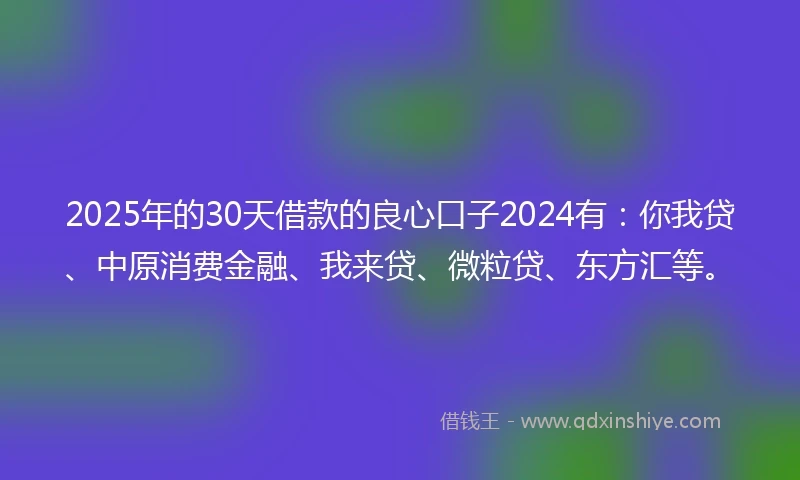 2025年的30天借款的良心口子2024有：你我贷、中原消费金融、我来贷、微粒贷、东方汇等。