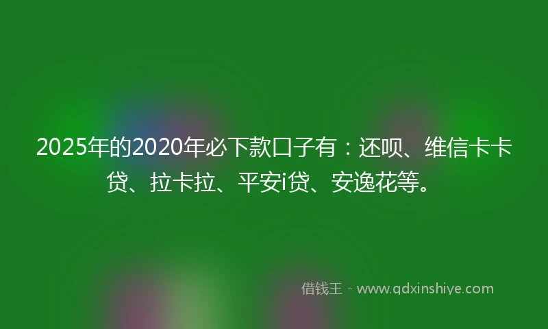 2025年的2020年必下款口子有：还呗、维信卡卡贷、拉卡拉、平安i贷、安逸花等。