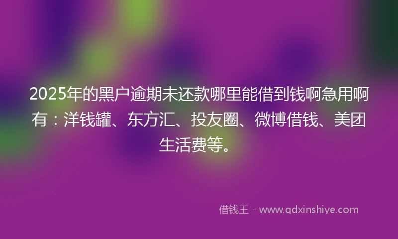 2025年的黑户逾期未还款哪里能借到钱啊急用啊有：洋钱罐、东方汇、投友圈、微博借钱、美团生活费等。