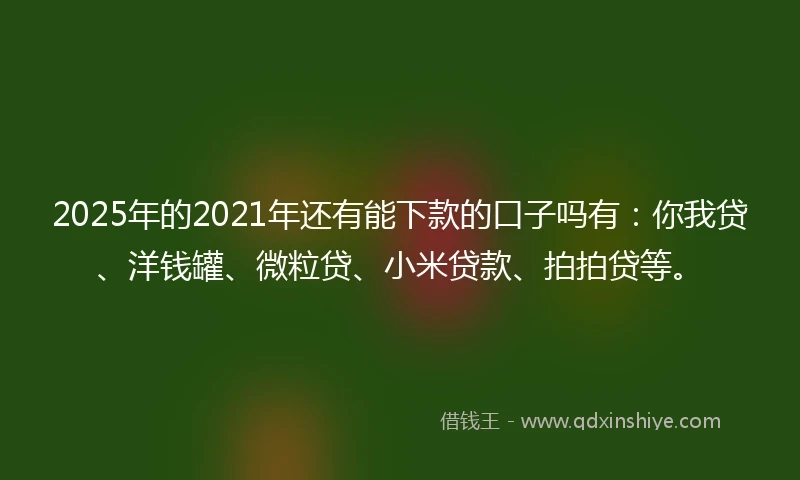 2025年的2021年还有能下款的口子吗有：你我贷、洋钱罐、微粒贷、小米贷款、拍拍贷等。