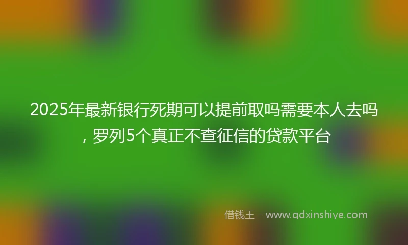 2025年最新银行死期可以提前取吗需要本人去吗，罗列5个真正不查征信的贷款平台