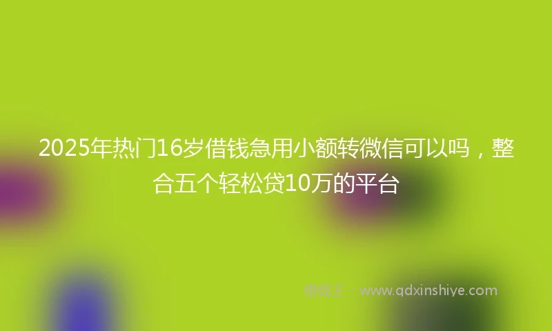 2025年热门16岁借钱急用小额转微信可以吗，整合五个轻松贷10万的平台