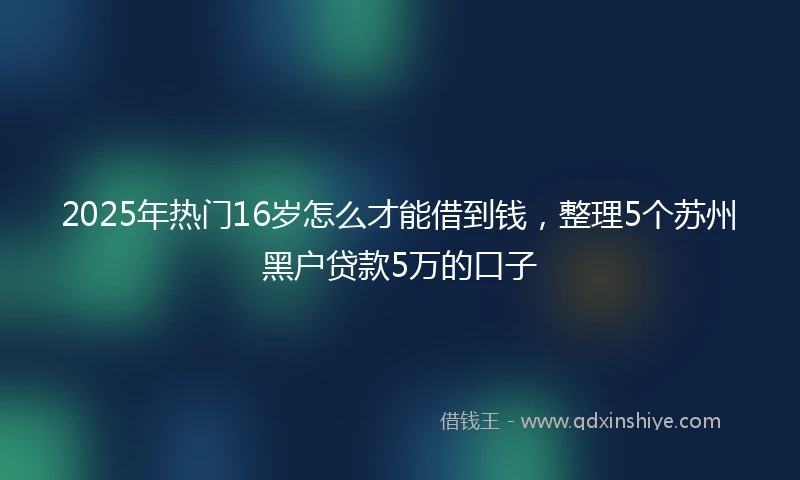 2025年热门16岁怎么才能借到钱，整理5个苏州黑户贷款5万的口子