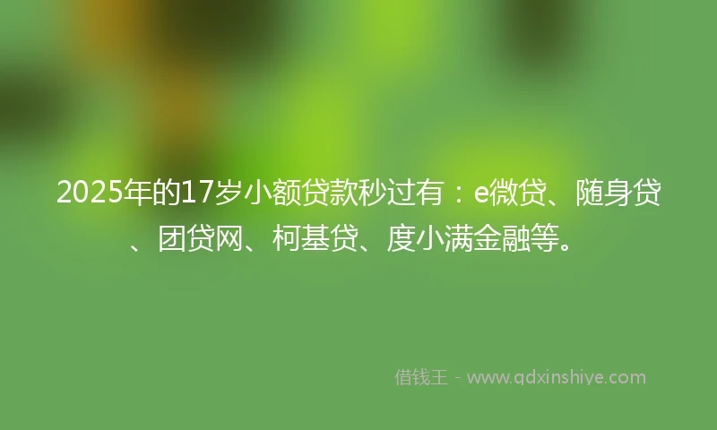 2025年的17岁小额贷款秒过有：e微贷、随身贷、团贷网、柯基贷、度小满金融等。