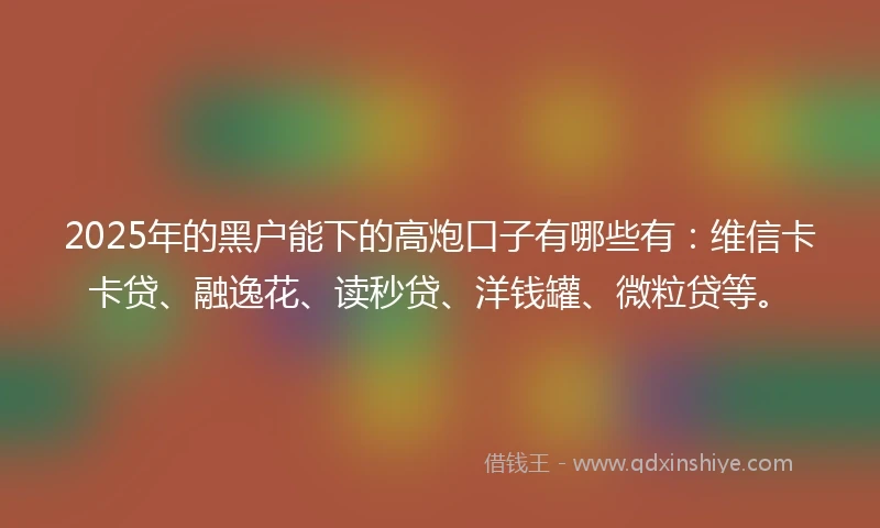 2025年的黑户能下的高炮口子有哪些有：维信卡卡贷、融逸花、读秒贷、洋钱罐、微粒贷等。