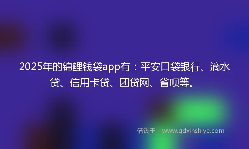 2025年的锦鲤钱袋app有：平安口袋银行、滴水贷、信用卡贷、团贷网、省呗等。