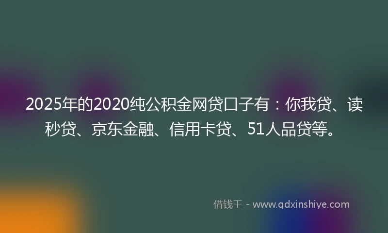2025年的2020纯公积金网贷口子有：你我贷、读秒贷、京东金融、信用卡贷、51人品贷等。