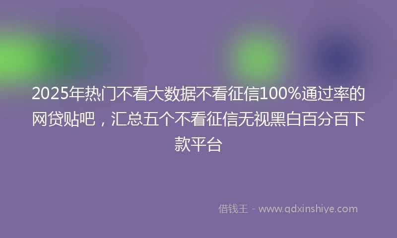 2025年热门不看大数据不看征信100%通过率的网贷贴吧，汇总五个不看征信无视黑白百分百下款平台