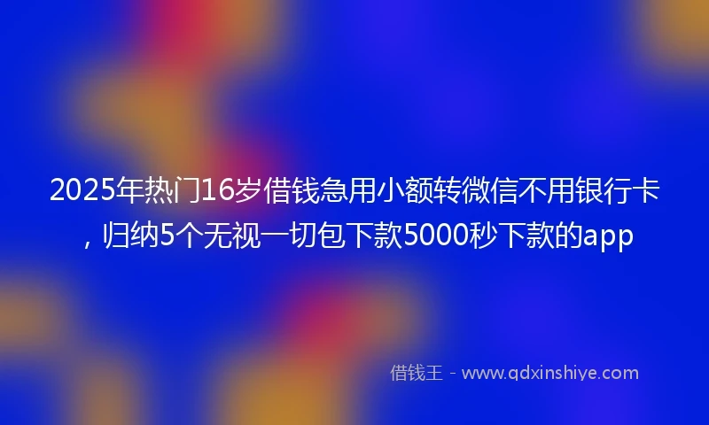 2025年热门16岁借钱急用小额转微信不用银行卡，归纳5个无视一切包下款5000秒下款的app