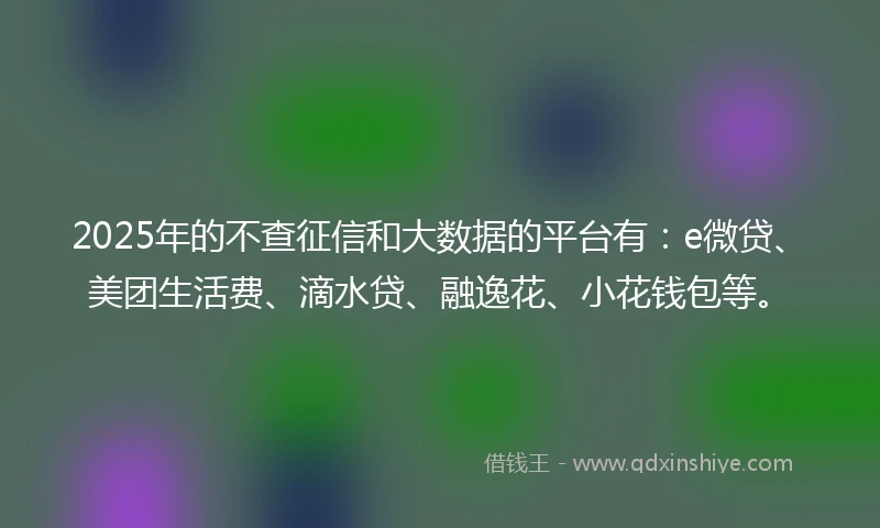 2025年的不查征信和大数据的平台有：e微贷、美团生活费、滴水贷、融逸花、小花钱包等。