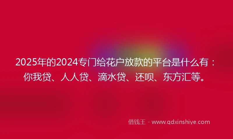 2025年的2024专门给花户放款的平台是什么有：你我贷、人人贷、滴水贷、还呗、东方汇等。