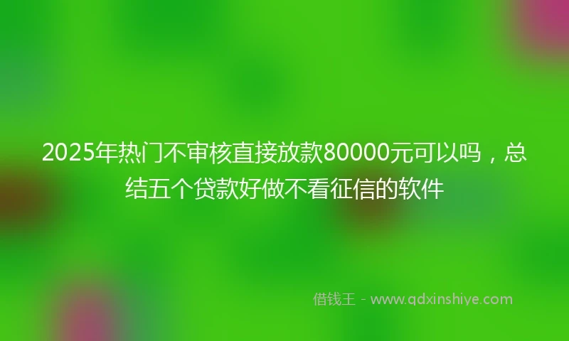 2025年热门不审核直接放款80000元可以吗，总结五个贷款好做不看征信的软件