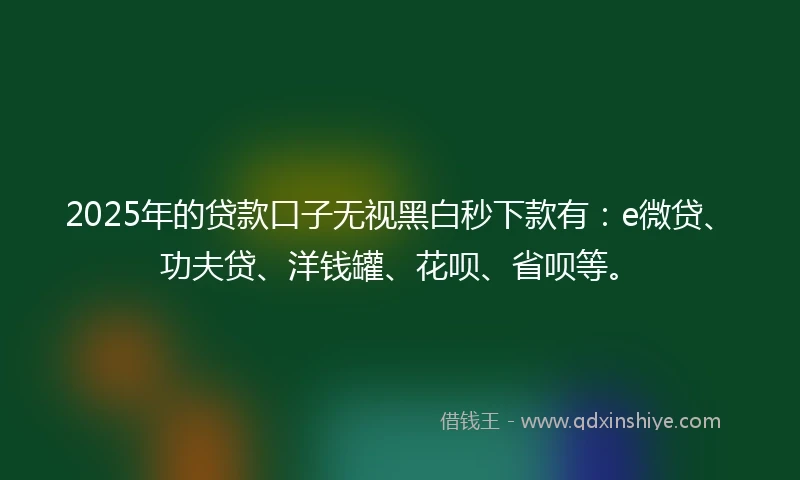 2025年的贷款口子无视黑白秒下款有：e微贷、功夫贷、洋钱罐、花呗、省呗等。