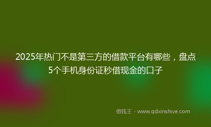 2025年热门不是第三方的借款平台有哪些，盘点5个手机身份证秒借现金的口子