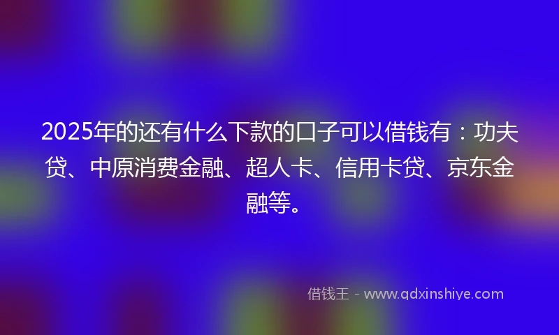 2025年的还有什么下款的口子可以借钱有：功夫贷、中原消费金融、超人卡、信用卡贷、京东金融等。